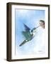 Hummingbird Flutter-Sartoris ART-Framed Giclee Print