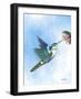 Hummingbird Flutter-Sartoris ART-Framed Giclee Print