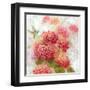 Hummingbird Garden I-null-Framed Art Print