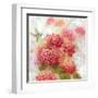 Hummingbird Garden I-null-Framed Art Print