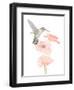 Hummingbird Garden-Stacy Hsu-Framed Art Print