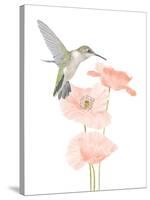 Hummingbird Garden-Stacy Hsu-Stretched Canvas