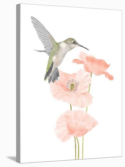 Hummingbird Garden-Stacy Hsu-Stretched Canvas