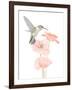 Hummingbird Garden-Stacy Hsu-Framed Art Print