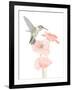 Hummingbird Garden-Stacy Hsu-Framed Art Print