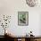 Hummingbird I-Larry Malvin-Framed Premium Photographic Print displayed on a wall