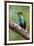 Hummingbird I-Larry Malvin-Framed Photographic Print