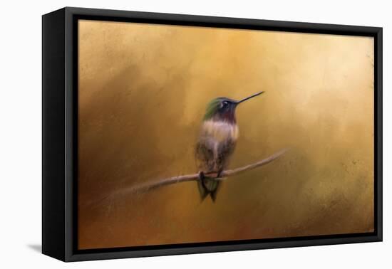 Hummingbird in Autumn-Jai Johnson-Framed Stretched Canvas