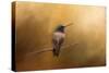 Hummingbird in Autumn-Jai Johnson-Stretched Canvas