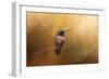 Hummingbird in Autumn-Jai Johnson-Framed Giclee Print