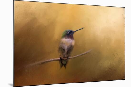 Hummingbird in Autumn-Jai Johnson-Mounted Giclee Print