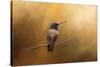Hummingbird in Autumn-Jai Johnson-Stretched Canvas