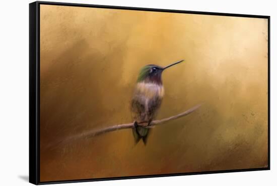 Hummingbird in Autumn-Jai Johnson-Framed Stretched Canvas