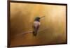 Hummingbird in Autumn-Jai Johnson-Framed Giclee Print