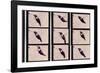 Hummingbird in Motion-Chris Dunker-Framed Giclee Print