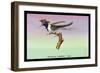 Hummingbird: Male Trochilus Cornutus-Sir William Jardine-Framed Art Print