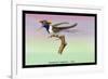 Hummingbird: Male Trochilus Cornutus-Sir William Jardine-Framed Premium Giclee Print