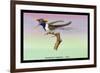 Hummingbird: Male Trochilus Cornutus-Sir William Jardine-Framed Premium Giclee Print