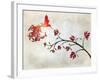 Hummingbird of Paradise Sunset-Tina Lavoie-Framed Giclee Print