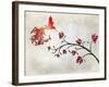 Hummingbird of Paradise Sunset-Tina Lavoie-Framed Giclee Print