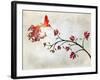 Hummingbird of Paradise Sunset-Tina Lavoie-Framed Giclee Print