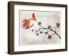 Hummingbird of Paradise Sunset-Tina Lavoie-Framed Giclee Print