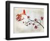 Hummingbird of Paradise Sunset-Tina Lavoie-Framed Giclee Print