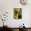 Hummingbird on a Branch in Amazonia-Dmitri Kessel-Stretched Canvas displayed on a wall
