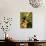 Hummingbird on a Branch in Amazonia-Dmitri Kessel-Mounted Photographic Print displayed on a wall