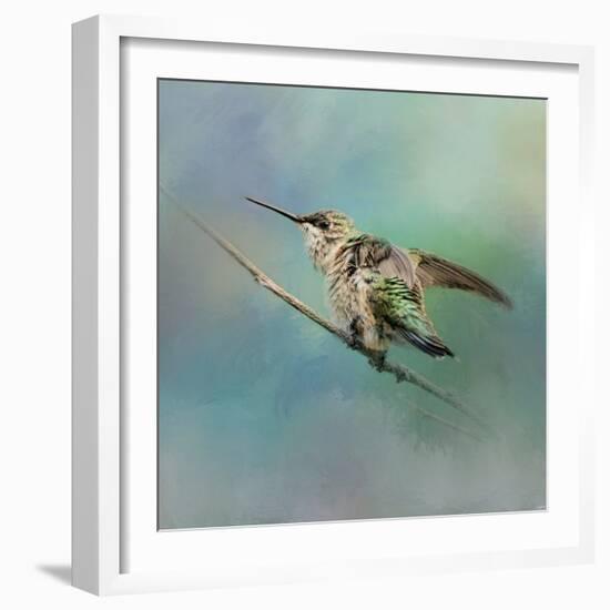 Hummingbird on Mint-Jai Johnson-Framed Giclee Print