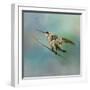 Hummingbird on Mint-Jai Johnson-Framed Giclee Print