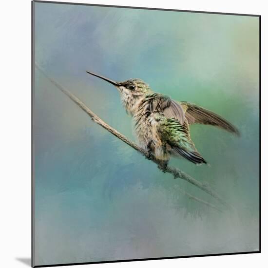 Hummingbird on Mint-Jai Johnson-Mounted Giclee Print