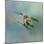 Hummingbird on Mint-Jai Johnson-Mounted Giclee Print