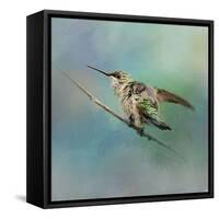 Hummingbird on Mint-Jai Johnson-Framed Stretched Canvas