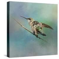 Hummingbird on Mint-Jai Johnson-Stretched Canvas