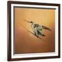 Hummingbird on Peach-Jai Johnson-Framed Giclee Print