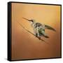 Hummingbird on Peach-Jai Johnson-Framed Stretched Canvas