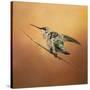 Hummingbird on Peach-Jai Johnson-Stretched Canvas