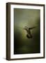 Hummingbird over Water-Jai Johnson-Framed Giclee Print