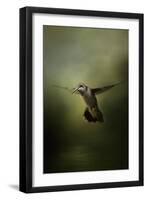 Hummingbird over Water-Jai Johnson-Framed Giclee Print