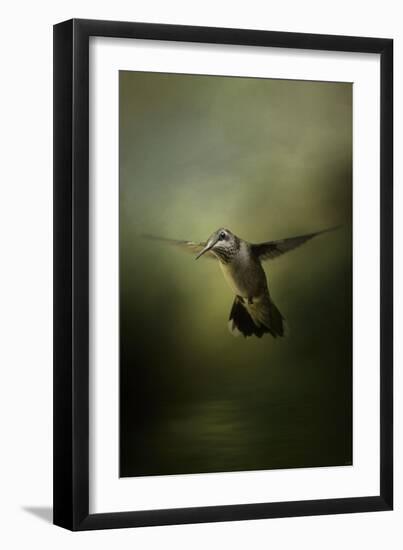 Hummingbird over Water-Jai Johnson-Framed Giclee Print