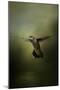 Hummingbird over Water-Jai Johnson-Mounted Giclee Print