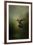 Hummingbird over Water-Jai Johnson-Framed Giclee Print