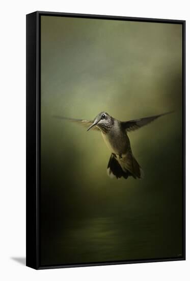 Hummingbird over Water-Jai Johnson-Framed Stretched Canvas