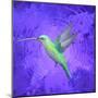 Hummingbird Passion-Thomas Deir-Mounted Poster