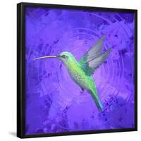 Hummingbird Passion-Thomas Deir-Framed Poster