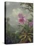 Hummingbird Perched on an Orchid Plant, 1901-Martin Johnson Heade-Stretched Canvas