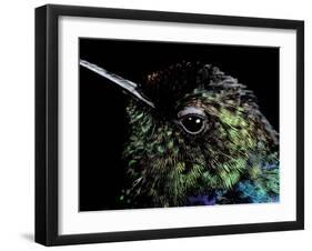 Hummingbird Resting, Barro Colorado Island, Panama-Christian Ziegler-Framed Photographic Print