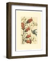 Hummingbird Reverie II-Vision Studio-Framed Art Print