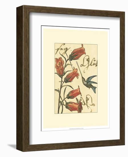 Hummingbird Reverie II-Vision Studio-Framed Art Print